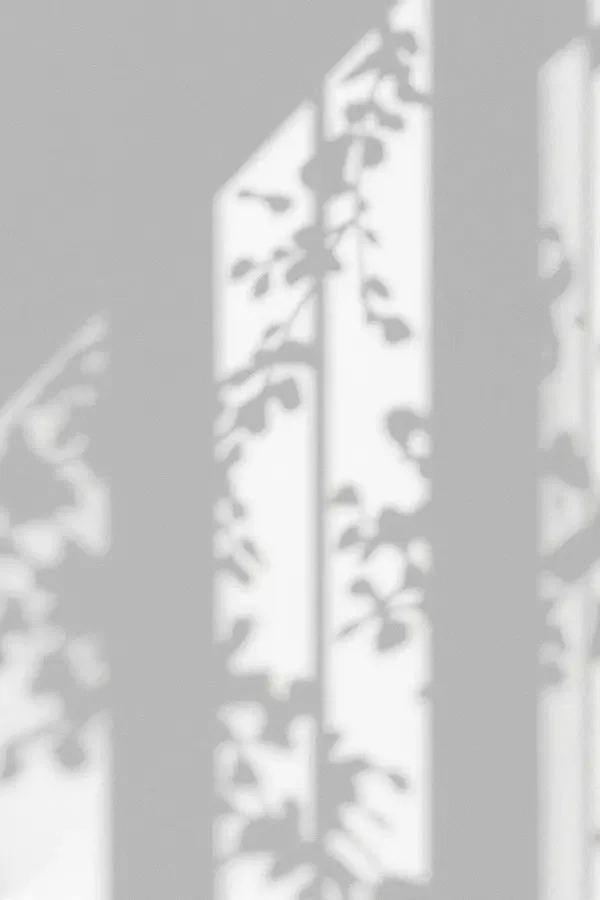 《留白》 三级片在线视频 《留白》 海报